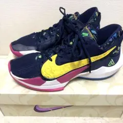 【激レア】NIKE ズームフリーク2 by you zoom freak ヤニス Nike Zoom Freak 2 