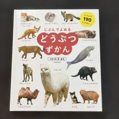 みい✿プロフ必読願います(。ᵕᴗᵕ。)様 リクエスト 2点 まとめ商品