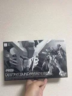 RG 1/144 デスティニーガンダム ディアクティブモード