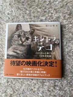 キジトラのテコ パパさんと過ごした14年の奇跡