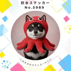 j.angel゜.*❇.・°✴°・*.❇様 リクエスト 2点 まとめ商品