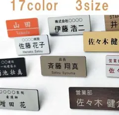家紋入。5個【オーダー名札 60×25mm】 クリップ ピン 会社 学校 病院 オーダー名札 50×25mm クリップ ピン 会社 学校 病院 クリニック