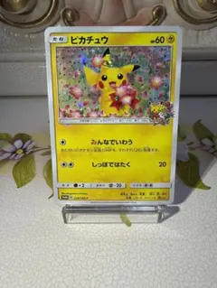 みんなでいわうピカチュウ 224/SM-P ポケモンセンター20周年記念