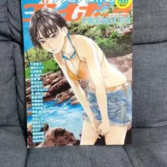 週刊プレイボーイ PREMIUM 2024上半期