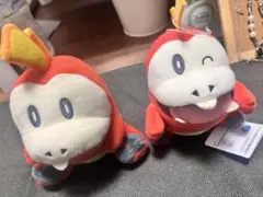 ポケモン ホゲータ ぬいぐるみ 2点セット