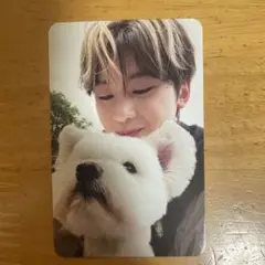 メテュ　ALL デジパ 封入 トレカ レオ 犬 ゼベワン never say