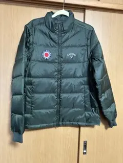 Item thumbnail for item a3e31a9d-de75-41bb-b7c9-c782107f09e2