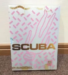 浅川マキ 紙ジャケCDボックス 10枚セット - メルカリ