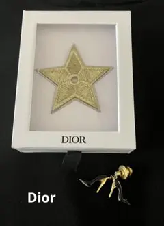 クリスチャンディオール　ピンバッジ ハイヒールピンバッジ　２個セット 未使用