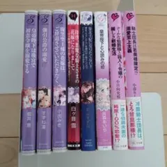 恋愛小説 文庫本 8冊セット まとめ売り　TL文庫 TL小説