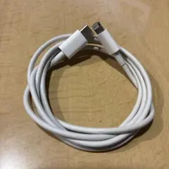 送料無料Lightningケーブル USB-C ホワイト