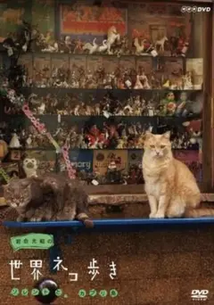 yhoooshi様 リクエスト 3点 まとめ商品