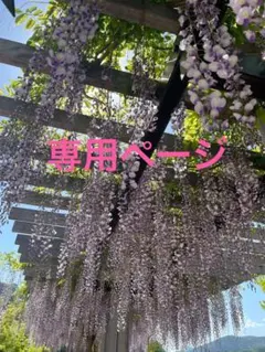 るる 値引きします！ 様専用ページ