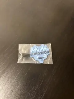 ジョンウォン　walktheline ヘアピン　enhypen エナプ