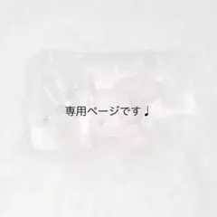 専用ページ