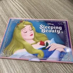 Disney ディズニー　眠れる森の美女　オーロラ　鏡