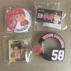 楽天イーグルス　辛島航選手