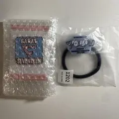 SEVENTEEN Carat ピンバッジ Follow プレミアムシート