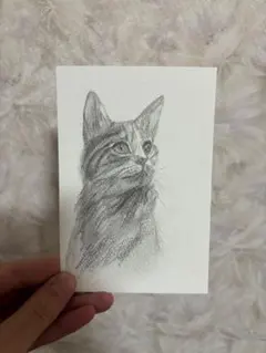 鉛筆画 人物画 木製フレーム付き Amazon | 14 ピース/セットプロスケッチ絵画デッサン鉛筆木 HB