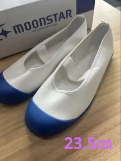 Item thumbnail for item 9f8dab74-7f99-462e-a306-98edd7e3e73d