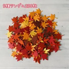 376 クラフトパンチ　秋の葉っぱシリーズ　もみじ250枚　4種　ランダム
