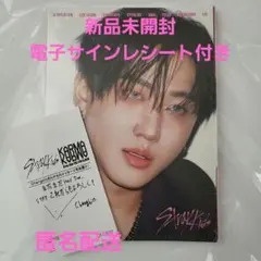 【新品未開封】スキズ Stray Kids KARMAアコーディオン チャンビン