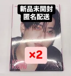 チャンビン straykids KARMA accordion アルバム 2枚
