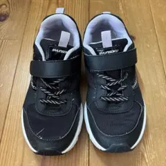 シュンソク　21センチ