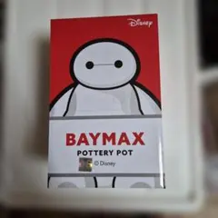 Disney BAYMAX POTTERY POT
