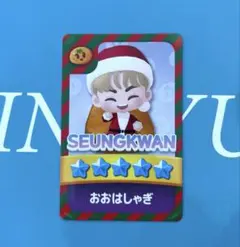 SEVENTEEN セブチ パズチ スングァン