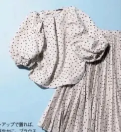 ツルバイマリコオイカワ　Maya DOTSブラウス