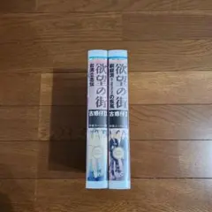 2026年最新】欲望の街 古惑仔の人気アイテム - メルカリ