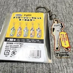 阪神タイガース 大山悠輔 メッセージシークレットキーホルダー 外野限定