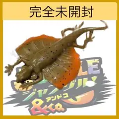 （完全未開封）ジャワトビトカゲ　ジャングル&co