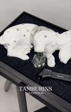 TAMBURINS タンバリンズ 激レア非売品