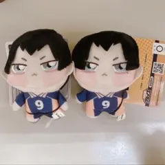 ハイキュー！！ちょぴぬいぷち①影山飛雄