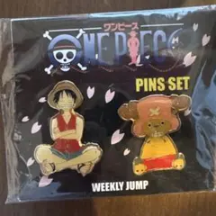 激レア！ 初期 ワンピース ONE PIECE チョッパー 缶バッジ 2種セット