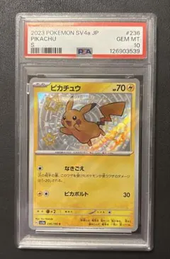 フォローで割引！ ポケモンカード PSA7 ボスごっこピカチュウ フレア団
