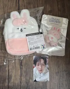 Stray Kids スキズ ジニレット コレクトケース マイクロ セット | Mercari