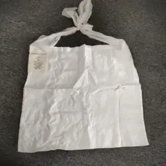 Item thumbnail for item c63ad099-e661-4a4a-9308-6fcb7fccbe83