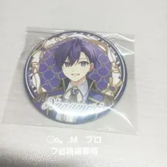 ○o。.M　プロフ必読様専用ページ