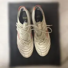 モレリアネオ4ベータ　限定色　26cm