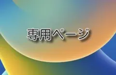 ぱんさん様専用ページ