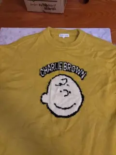 FREAK'S STORE チャーリーブラウン ニット M