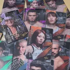 RIZINウエハース　１４種セット