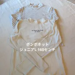 ポンポネット薄手タートル2枚セット