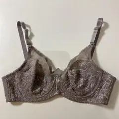ダイアナブラジャー A75のサムネイル