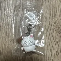 未開封‼️ドラゴンボール　めじるしアクセサリー4 カリン