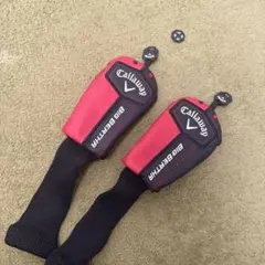 Item thumbnail for item 6d1e1f00-e0bb-4452-9c19-9b858949ccd7