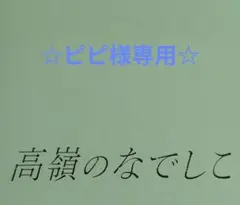 ☆ピピ様専用☆